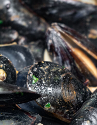 Mejillones